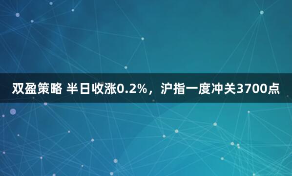双盈策略 半日收涨0.2%，沪指一度冲关3700点