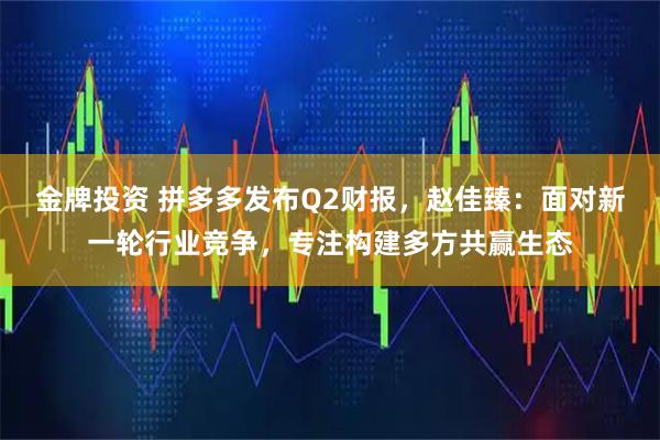 金牌投资 拼多多发布Q2财报，赵佳臻：面对新一轮行业竞争，专注构建多方共赢生态