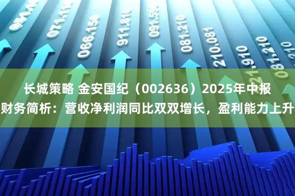 长城策略 金安国纪（002636）2025年中报财务简析：营收净利润同比双双增长，盈利能力上升
