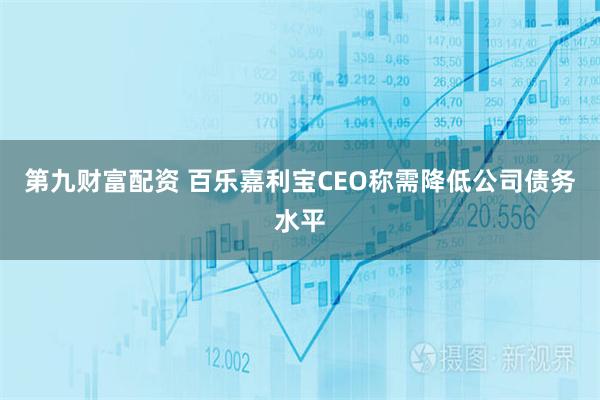 第九财富配资 百乐嘉利宝CEO称需降低公司债务水平